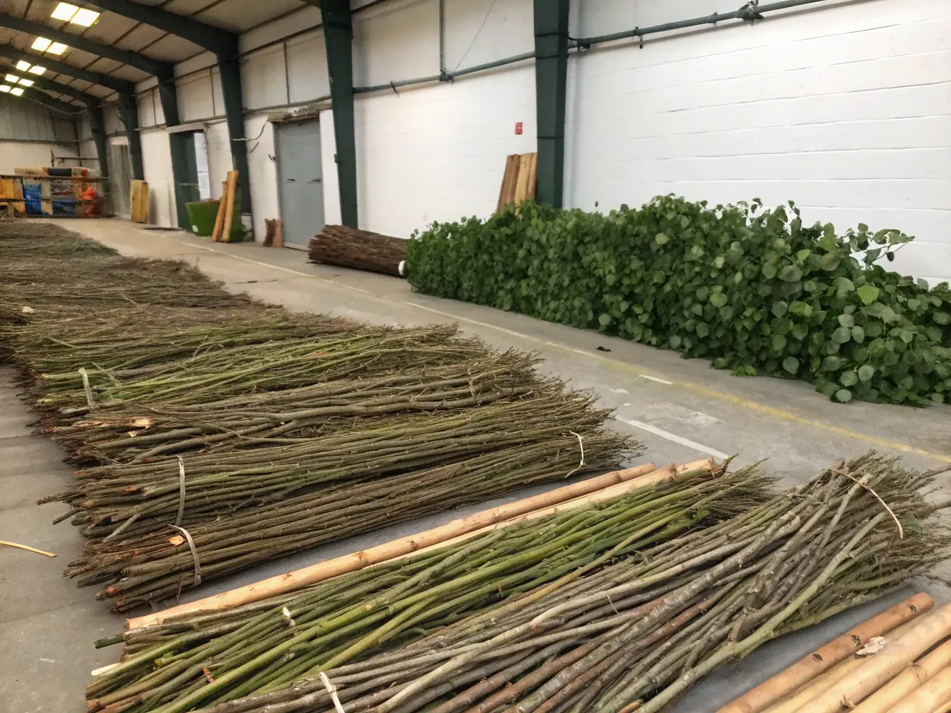 Förberedda grenar klara för byggstart