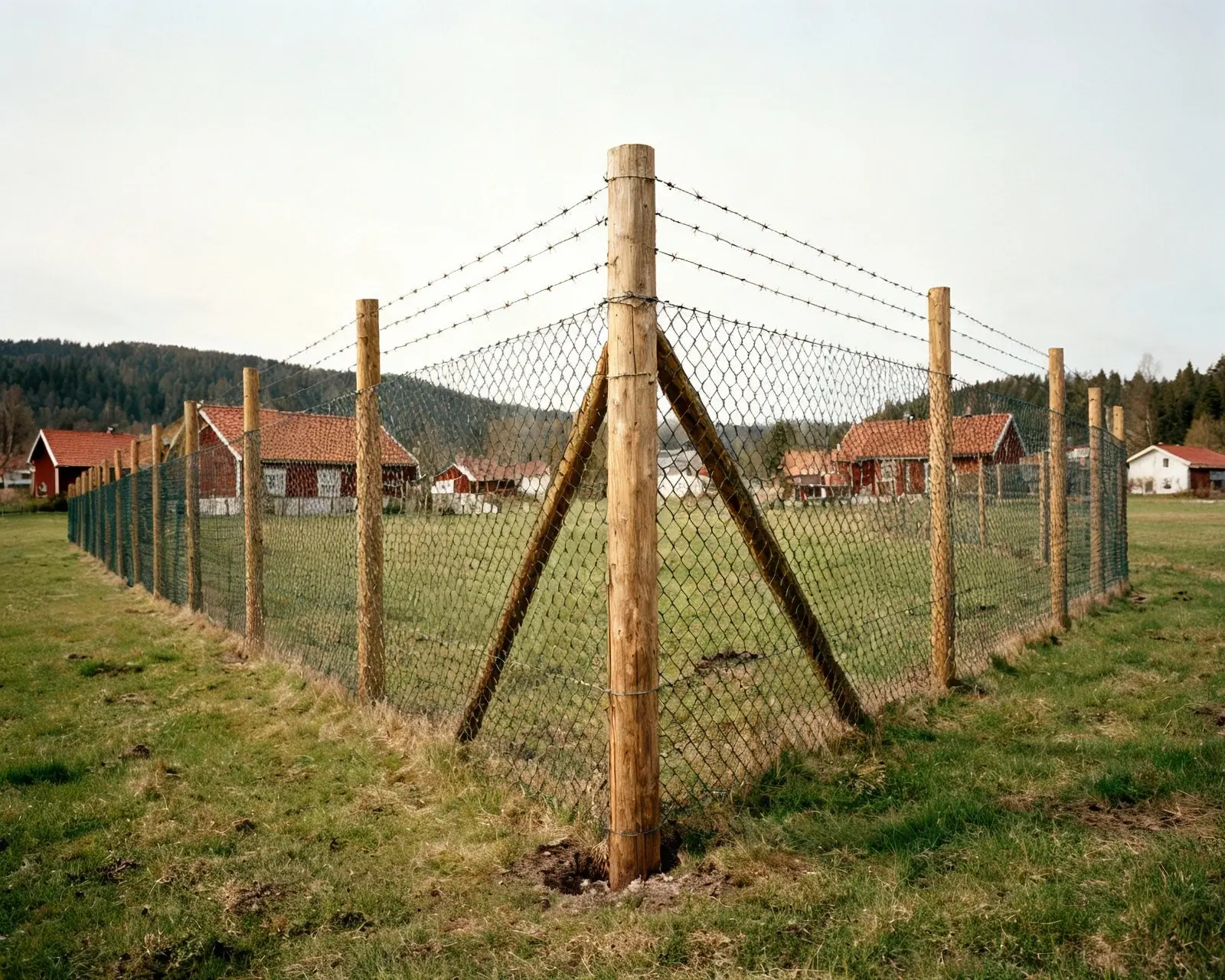 Färdigt vildsvinsstängsel