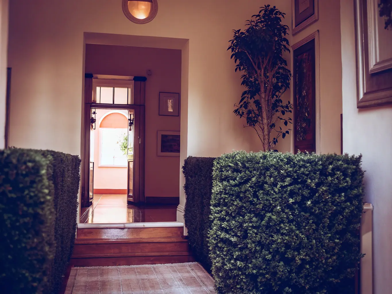 Naturlig häck som alternativ till staket