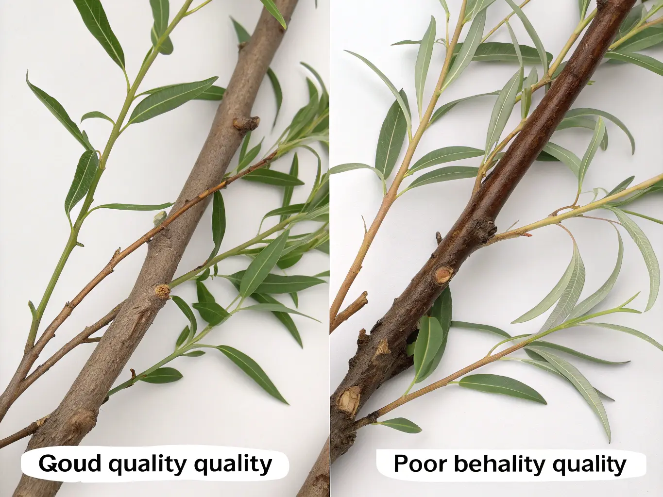 Jämförelse av god och dålig pilkvalitet