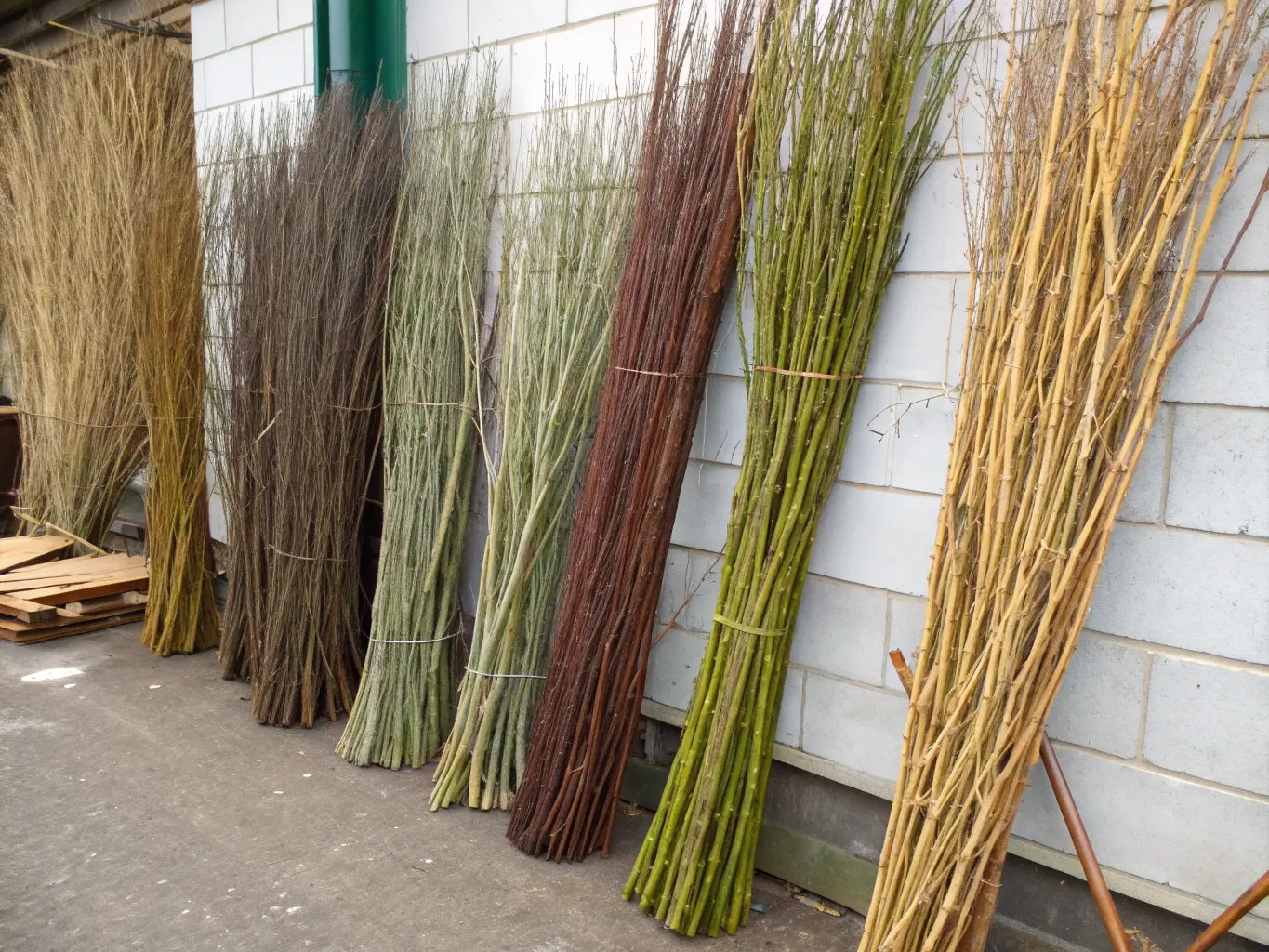 Olika sorters pilkvistar i olika färger och tjocklekar