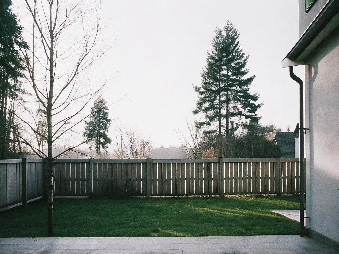 Gemensamt ägande av staket mellan grannar