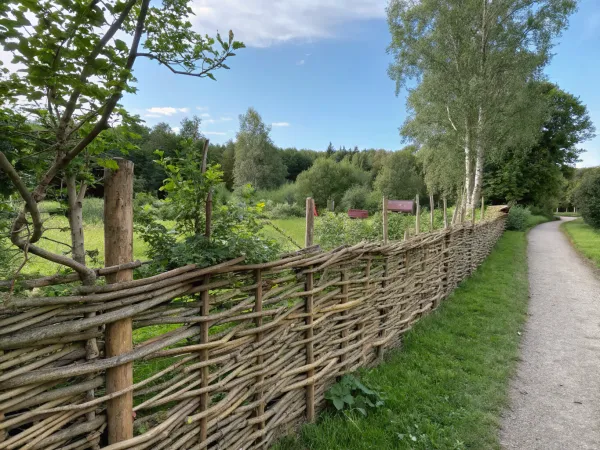 Bygga staket av grenar - Guide för vackert risstaket